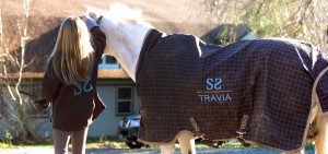 Horse Boarding NJ