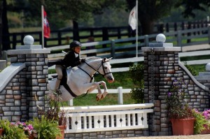 Horse Show Coaching in NJ