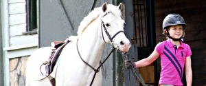 Horseback Riding Lessons in New Jersey
