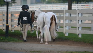 Horseback Riding Services in NJ
