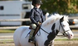 Horse Riding Lessons in NJ