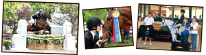 Show Coaching in Essex County, NJ