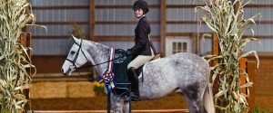 Show Horse Coaching in NJ